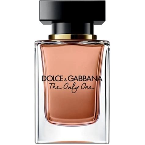 the only one dolce gabbana femme|Dolce & Gabbana the one price.